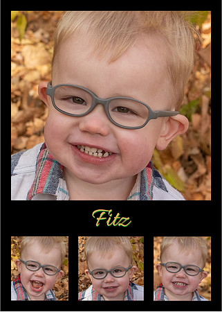 FACES_Fitz_v5x73